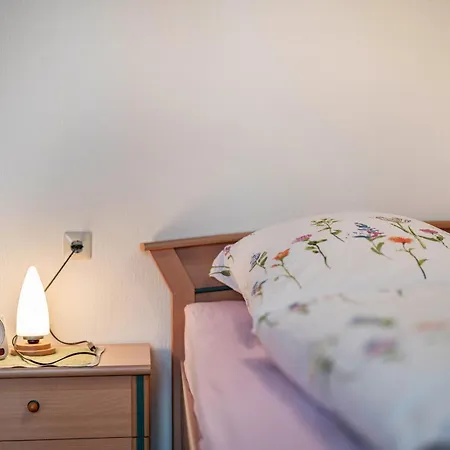 公寓 Haus Marianne Schmelzle 弗罗伊登施塔特